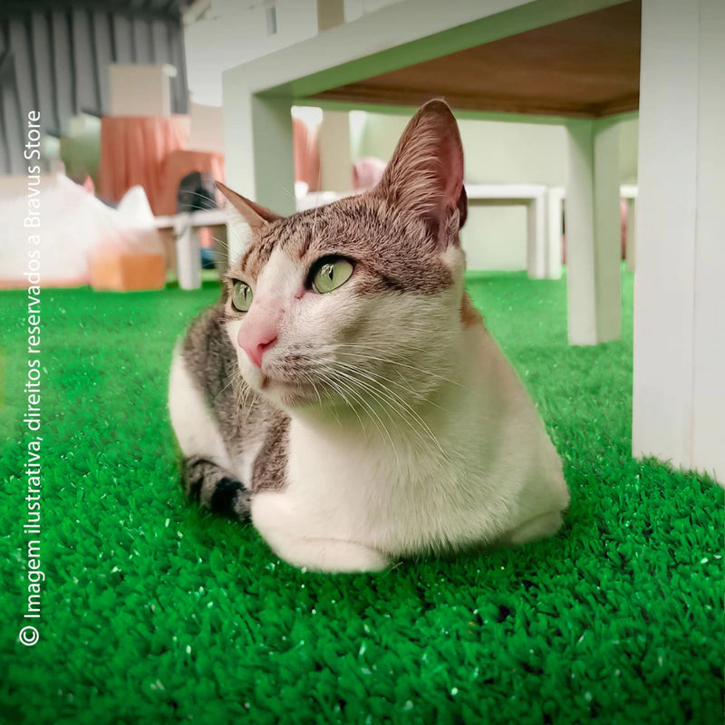 Tapete para Gatos Grama Sintética para Gato