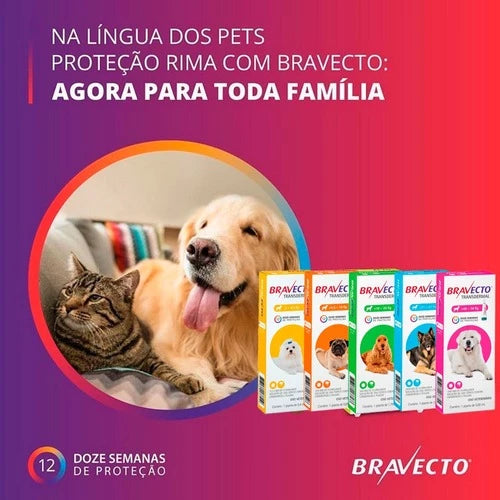 Antipulgas e Carrapatos para Cães de 2kg a 56kg - Bravecto™