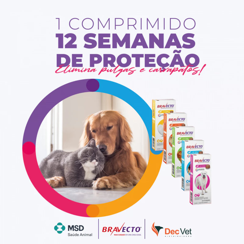 Antipulgas e Carrapatos para Cães de 2kg a 56kg - Bravecto™