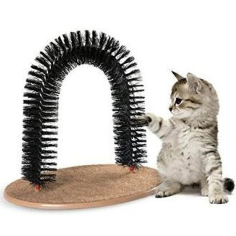 Arco Massageador para Gatos - Brinquedo 2 em 1