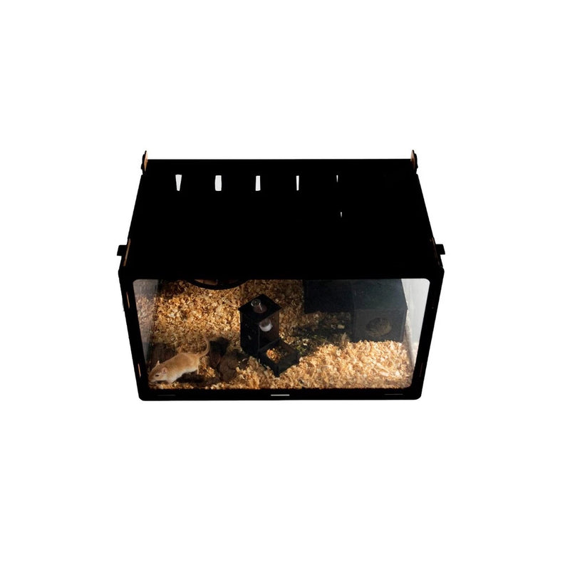 Gaiola Hamster Terrário Para Hamsters Completo