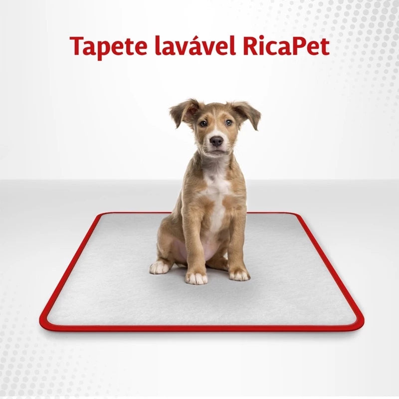 Kit 2 Tapetes Higiênicos Lavável Para Cães Cachorro Xixi - P 60x50